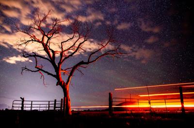 enviro_darkskies_240725_dp003.jpg