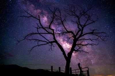 Wowed by the winter sky